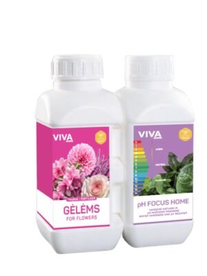 TRĄŠOS GĖLĖMS + pH FOCUS HOME (0,5 l+ 0,5 l)