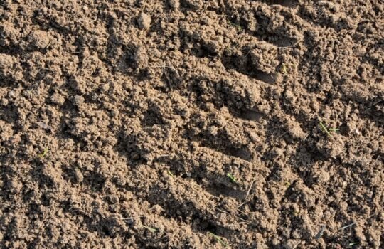 Dirvožemio paruošimas