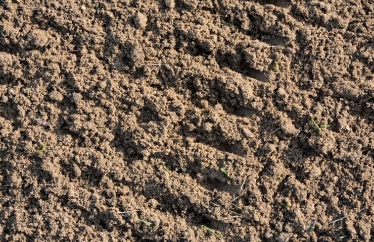 Dirvožemio paruošimas