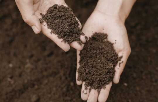 dirvožemio ivertinimas