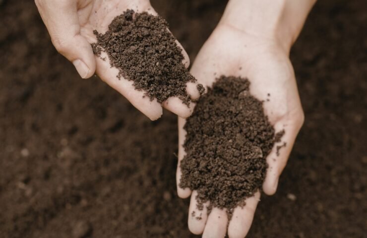 dirvožemio ivertinimas