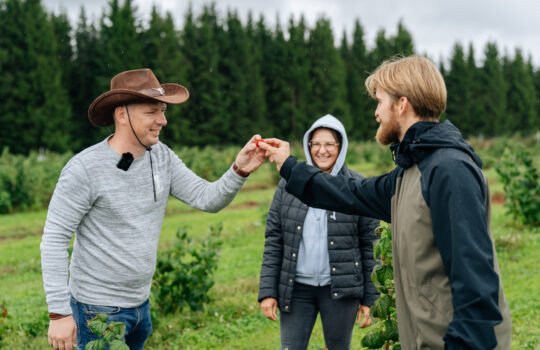 Agronomė konsultantė dr. Loreta Aleknavičienė uogyne su ūkininkais ragauja avietes