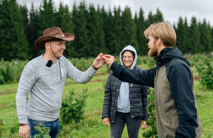 Agronomė konsultantė dr. Loreta Aleknavičienė uogyne su ūkininkais ragauja avietes