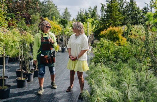 Agronomė konsultantė Loreta Aleknavičienė medelyne kalba apie rudeninį augalų sodinimą