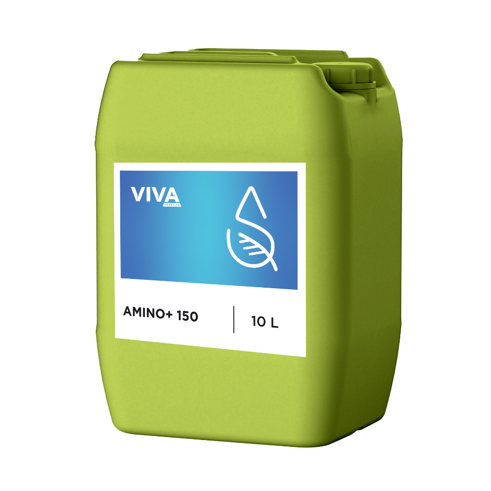AMINO +300 (ECO)