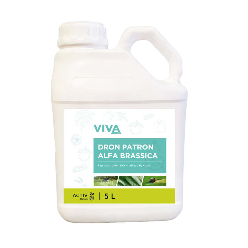 DRON PATRON ALFA BRASSICA