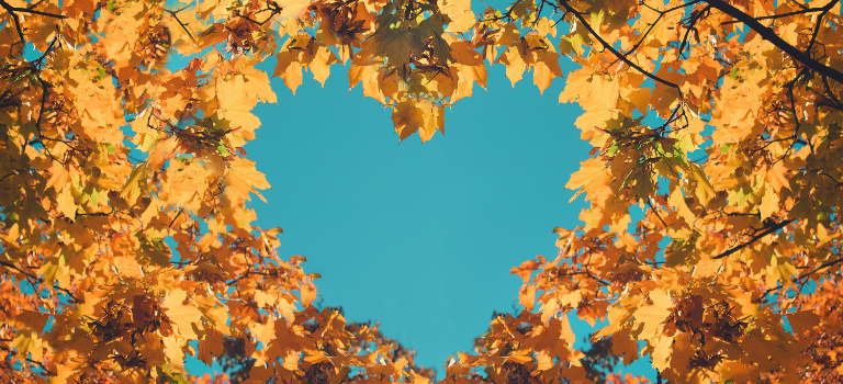 Lapkritis – gerumo ir socialinės atsakomybės mėnuo