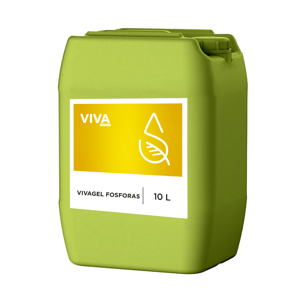 VIVAGEL FOSFORAS