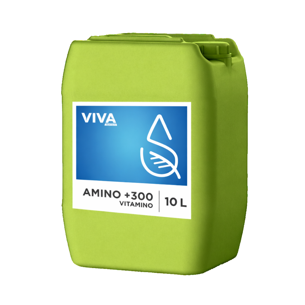 AMINO +300 VITAMINO